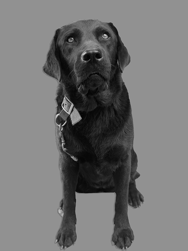 YOO team member portrait 39
