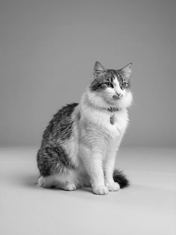 YOO team member portrait 41